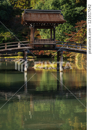 國家指定名勝永寶寺庭園 紅葉 2024 岐阜縣多治見市 國家指定名勝永寶寺庭園 紅葉 2024 岐阜縣多治見市 121017042