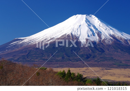 Fuji in winter as seen from Nijumagari Pass 121018315