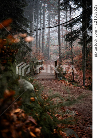 A Serene Autumn Pathway That Winds Through Misty and Enchanting Woods Awaiting Exploration 121019628