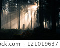 Enigmatic Forest Rays A Beautiful and Serene Nature Scene with a female photographer 121019637