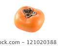 1 Okesa persimmon, cut out 121020388