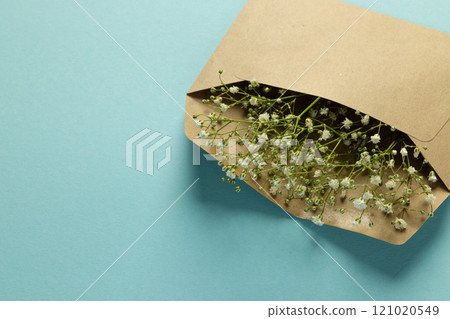 White flowers in brown envelope and copy space on blue background 121020549