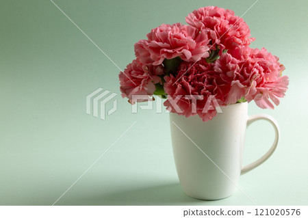 Bunch of pink carnation flowers in white mug with copy space on green background 121020576