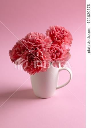 Vertical image of bunch of pink carnation flowers in white mug with copy space on pink background 121020578
