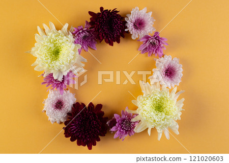 White, pink and purple flowers forming circle and copy space on orange background 121020603