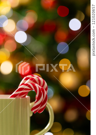 Vertical image of mug with candy canes and christmas tree with fairy lights and copy space Vertical image of mug with candy canes and christmas tree with fairy lights and copy space 121020657