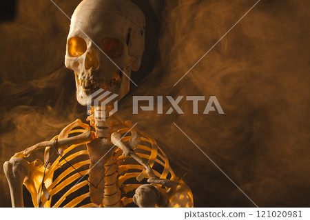 Plastic skeleton and smoke with copy space on black background 121020981