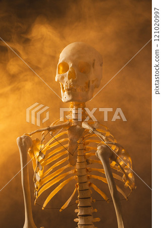 Vertical image of plastic skeleton and smoke with copy space on black background Vertical image of plastic skeleton and smoke with copy space on black background 121020997
