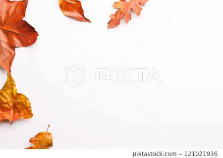 Autumn leaves with copy space on white background Autumn leaves with copy space on white background 121021936