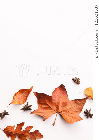 Vertical image of autumn leaves and anise stars with copy space on white background Vertical image of autumn leaves and anise stars with copy space on white background 121021937