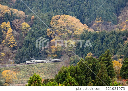西武秩父線「蘆久保附近行駛的特快列車」俯視圖 121021973