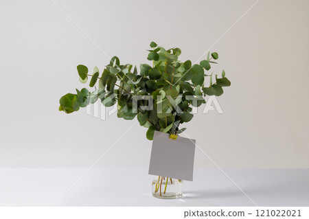 Green plant twigs with leaves and white card with copy space on white background Green plant twigs with leaves and white card with copy space on white background 121022021