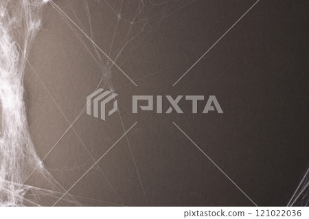 Halloween spiderweb decorations with copy space on grey background Halloween spiderweb decorations with copy space on grey background 121022036