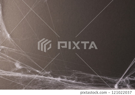 Halloween spiderweb decorations with copy space on grey background 121022037