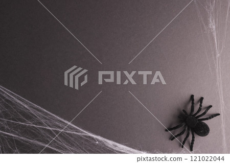 Halloween spider and spiderweb decorations with copy space on yellow background Halloween spider and spiderweb decorations with copy space on yellow background 121022044