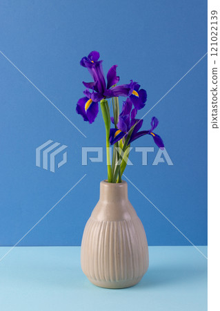 Vertical image of purple flowers in vase and copy space on blue background Vertical image of purple flowers in vase and copy space on blue background 121022139