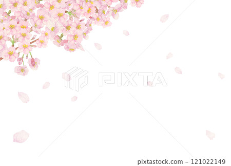 Hand-painted watercolor painting: Cherry blossom snowstorm background in the upper left, cutout, with branches and buds 121022149