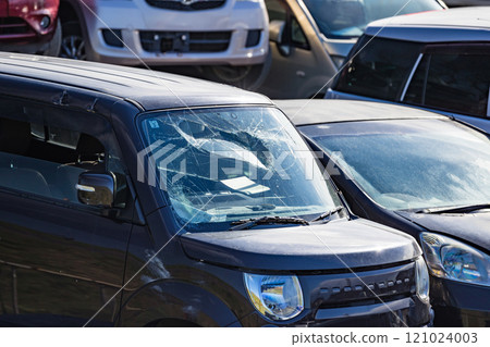 Automobile dismantling scrapyard 121024003