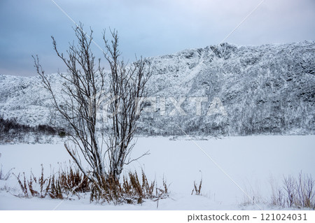 Winter nature with a mountain, Lodingen, Norway Winter nature with a mountain, Lodingen, Norway 121024031