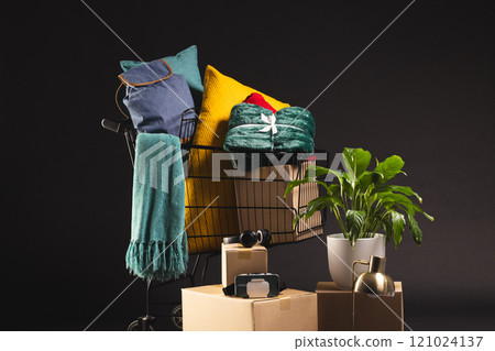 Shopping trolley with shopping, boxes, plant and copy space over black background Shopping trolley with shopping, boxes, plant and copy space over black background 121024137
