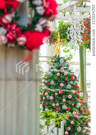 冬季濱松花卉公園、聖誕展<靜岡縣濱松市> 冬季濱松花卉公園、聖誕展<靜岡縣濱松市> 121024702