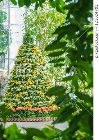 冬季濱松花卉公園、聖誕展<靜岡縣濱松市> 冬季濱松花卉公園、聖誕展<靜岡縣濱松市> 121024703