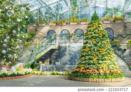 冬季濱松花卉公園、聖誕展<靜岡縣濱松市> 121024717