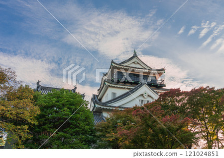 Okazaki Castle shining in the autumn sky Aichi Prefecture 2024 Okazaki Castle shining in the autumn sky Aichi Prefecture 2024 121024851