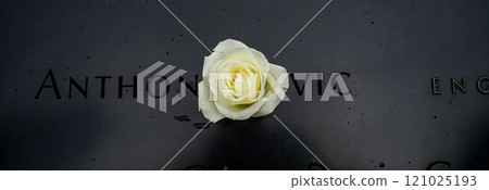 紐約紀念館白花 121025193