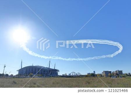 Blue Impulse (Rally Japan, Toyota Stadium, Toyota City, Aichi Prefecture) 121025466