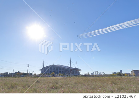 Blue Impulse (Rally Japan, Toyota Stadium, Toyota City, Aichi Prefecture) 121025467