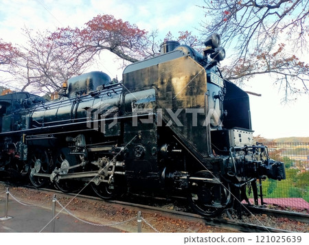 Steam locomotive under renovation in the park 121025639