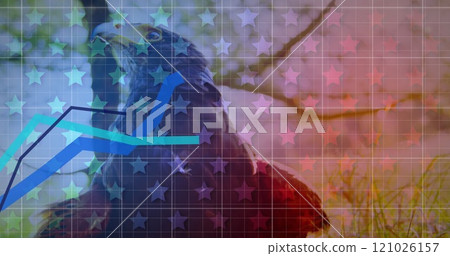 Multiple blue graphs moving over grid network and multiple stars against close up view of an eagle Multiple blue graphs moving over grid network and multiple stars against close up view of an eagle 121026157