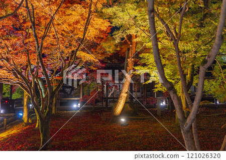 Higashiyama, Kyoto in autumn, Tofukuji Temple, autumn leaves illuminated Higashiyama, Kyoto in autumn, Tofukuji Temple, autumn leaves illuminated 121026320