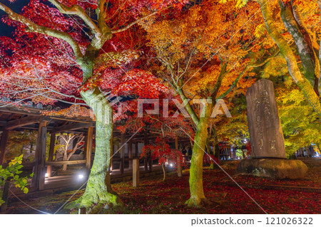 Higashiyama, Kyoto in autumn, Tofukuji Temple, autumn leaves illuminated 121026322