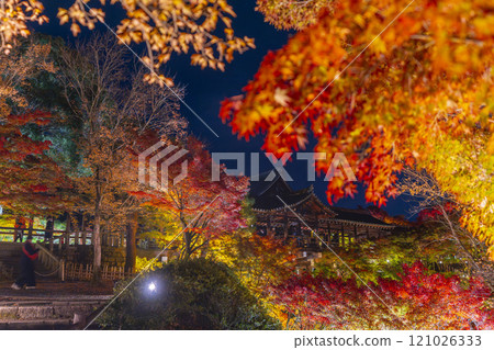 Higashiyama, Kyoto in autumn, Tofukuji Temple, autumn leaves illuminated 121026333