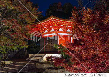 Autumn in Higashiyama, Kyoto, Tofukuji Temple, Aizen-do, illuminated autumn leaves Autumn in Higashiyama, Kyoto, Tofukuji Temple, Aizen-do, illuminated autumn leaves 121026336