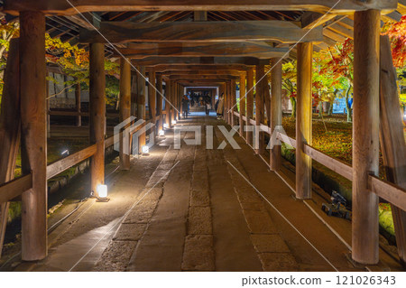 Higashiyama, Kyoto in autumn, Tofukuji Temple, autumn leaves illuminated 121026343