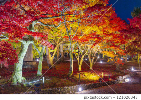 Higashiyama, Kyoto in autumn, Tofukuji Temple, autumn leaves illuminated Higashiyama, Kyoto in autumn, Tofukuji Temple, autumn leaves illuminated 121026345