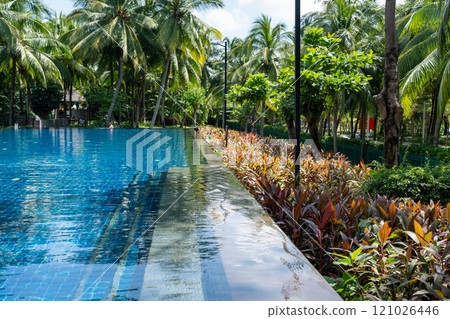 A Beautiful Tropical Poolside Oasis Surrounded by Lush Greenery and Vibrant Foliage A Beautiful Tropical Poolside Oasis Surrounded by Lush Greenery and Vibrant Foliage 121026446