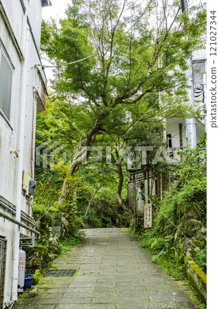 靜岡縣伊豆市 伊豆修善寺、指月殿 121027344