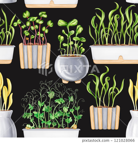A seamless pattern of potted houseplants. Seedlings with microgreens for healthy nutrition. A vegetable garden on the windowsill. The growth of micro-greenery at home. Digital isolated illustration A seamless pattern of potted houseplants. Seedlings with microgreens for healthy nutrition. A vegetable garden on the windowsill. The growth of micro-greenery at home. Digital isolated illustration 121028066