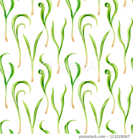 Seamless pattern with steam of micro-green spinach. Young seed seedlings, farming vegetable, horticulture and cultivation. Legumes for gardening, ingredients for cooking. Digital isolated illustration Seamless pattern with steam of micro-green spinach. Young seed seedlings, farming vegetable, horticulture and cultivation. Legumes for gardening, ingredients for cooking. Digital isolated illustration 121028067