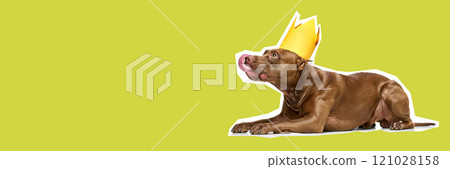 Adorable purebred Pit Bull dog with paper crown lying with tongue sticking out against green background. 121028158