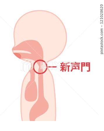 食道發聲期間新聲門振動的圖示 121028620