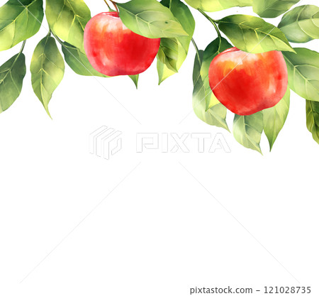 Background with red apples. Border for packaging, cards and posters. 121028735