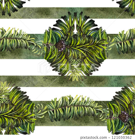 Green fir branches in a seamless pattern on a white background. Watercolor illustration with branches of evergreen tree for wrapping, textile, scrapbooking, winter Christmas and New Year decoration 121030362