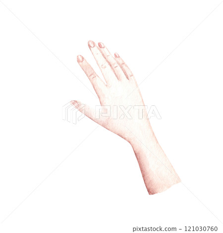 Woman right Hand. Watercolor hand drawn illustration in realistic style isolated on a white background. Design element of arm laying on or holding something. 121030760