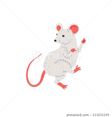Vector illustration with a mouse with a long tail dancing joyfully on a white background. Vector illustration with a mouse with a long tail dancing joyfully on a white background. 121031245