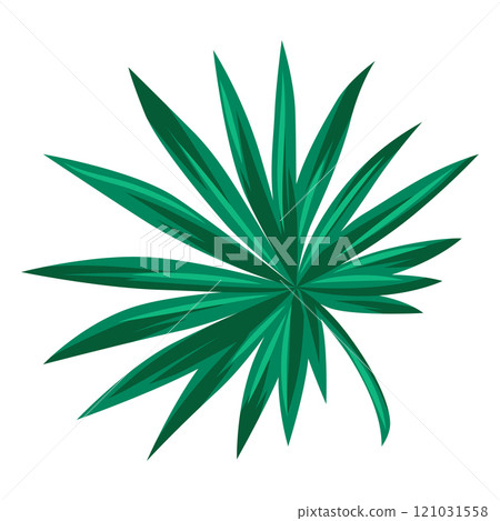 Stylized livistona palm leaf. Decorative image of tropical foliage and plant. Stylized livistona palm leaf. Decorative image of tropical foliage and plant. 121031558